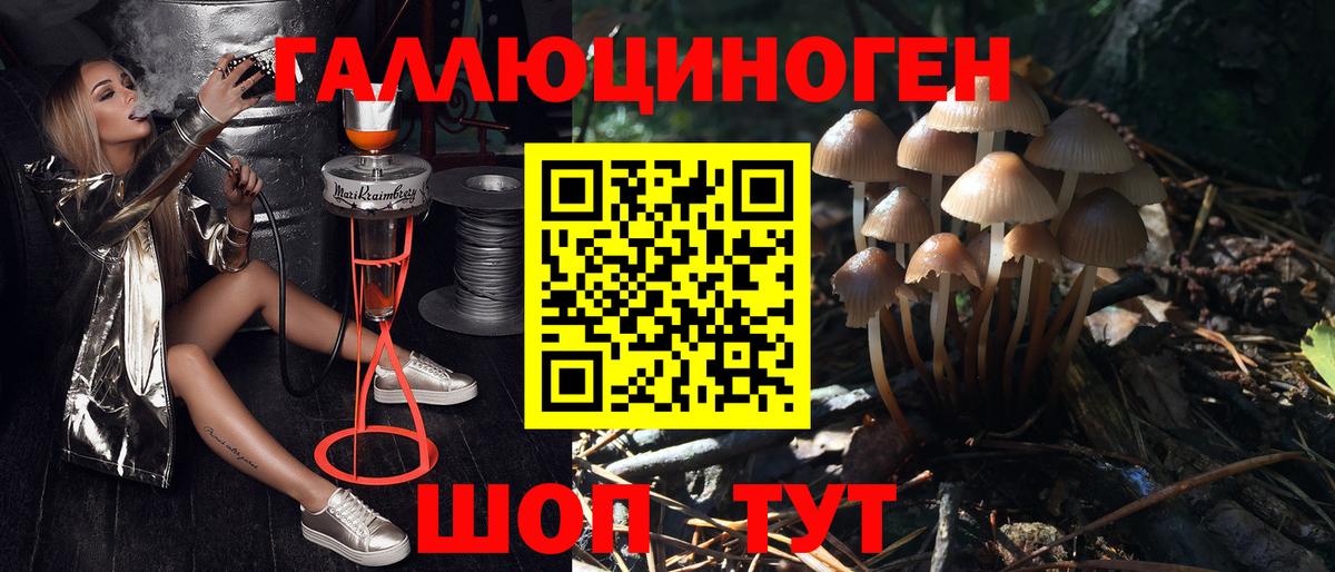 Галлюциногенные грибы мухоморы Беслан